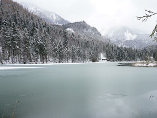 Schafferteich im Winter - Kopie