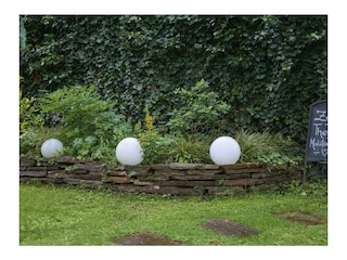 20200620_garten_0031_low