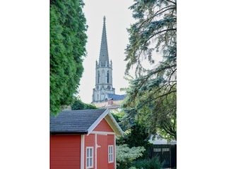 20250719_garten_neu_0052_low