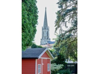 20250719_garten_neu_0052_low