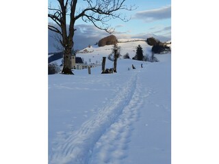 1572957222_20181220-151938