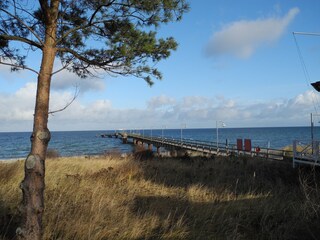 die Seebrücke in Göhren