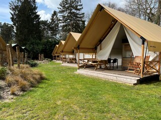 Ferienhaus Doorn Außenaufnahme 8