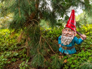 Holiday house Udenhout Outdoor Recording 14