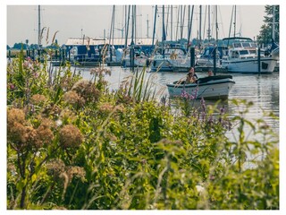 Ferienhaus Dordrecht Außenaufnahme 10