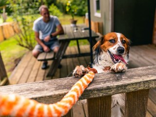 Ferienhaus Ruinen Außenaufnahme 4