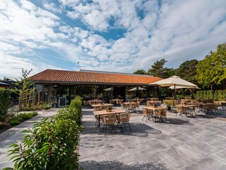 Holiday house Ruinen Outdoor Recording 16
