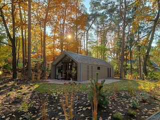 Holiday house Beekbergen Outdoor Recording 8