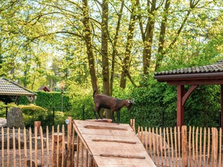 Ferienhaus Lochem Außenaufnahme 10