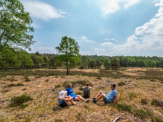 Holiday house Arnhem Outdoor Recording 7