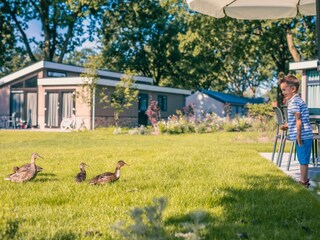 Ferienhaus Udenhout Außenaufnahme 14