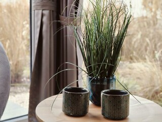 Ferienhaus Kaatsheuvel Außenaufnahme 8