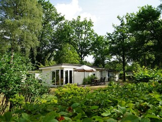 Ferienhaus Arnhem Außenaufnahme 1