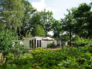 Holiday house Arnhem Outdoor Recording 1