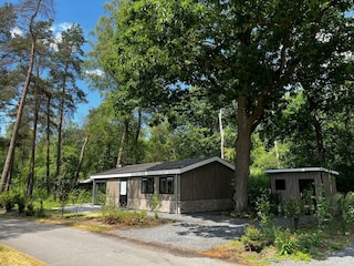 Holiday house Arnhem Outdoor Recording 15