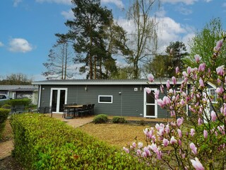 Ferienhaus Baarlo Außenaufnahme 8