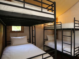 Ferienhaus Ruinen Außenaufnahme 15