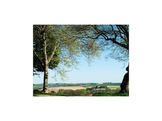 Holiday house Gulpen Outdoor Recording 15