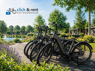 Ferienhaus Nieuwvliet Außenaufnahme 10