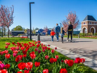 Ferienhaus Doornspijk Außenaufnahme 9