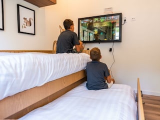 Holiday house Ruinen Outdoor Recording 6