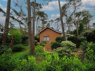 Holiday house Beekbergen Outdoor Recording 11