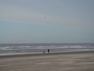 Appartamento per vacanze Petten Ambiente 16