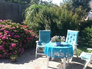 Vakantieappartement Petten Buitenaudio-opname 2