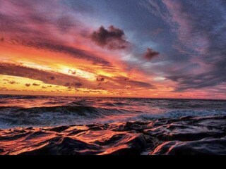 Appartamento per vacanze Petten Ambiente 18