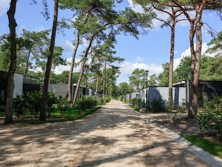 Holiday house Hoenderloo Outdoor Recording 17