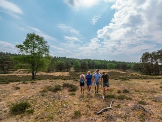 Holiday house Arnhem Outdoor Recording 9