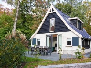Villa Veluwe MIVA 6