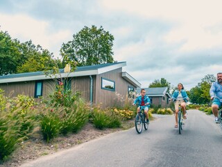 Ferienhaus Doornspijk Außenaufnahme 8