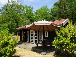 Ferienhaus Ruinen Außenaufnahme 10