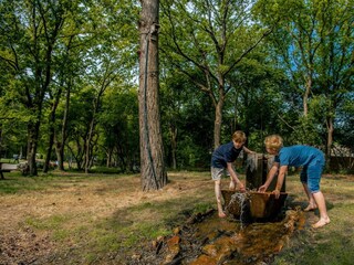 Holiday house Ruinen Outdoor Recording 7