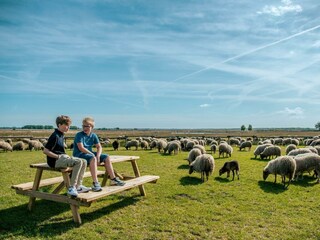 Holiday house Ruinen Outdoor Recording 10