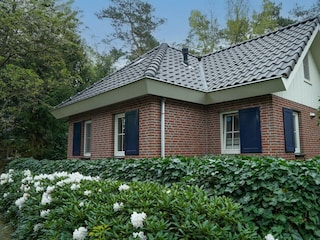 Villa Beekbergen Outdoor Recording 1