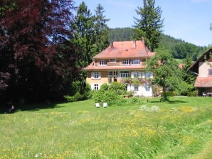 Ferienwohnung 2 Alpenblick - Steineckhof - Schopfheim - image1