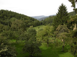 Aussicht Richtung Vogesen