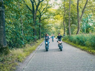 Holiday house Doorn Outdoor Recording 7