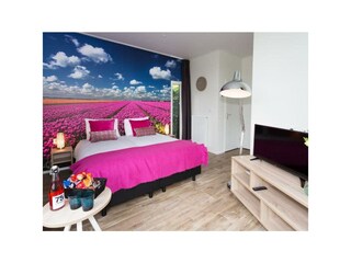 Holiday house Driehuis Outdoor Recording 2