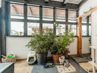 Dein Haustier darf mit!!