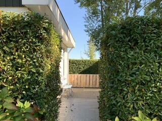 Holiday house Schoorl Outdoor Recording 9