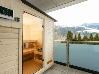 DACHSTEIN - Außensauna