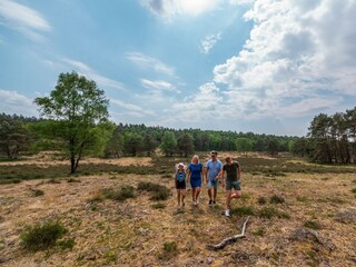 Ferienhaus Arnhem Außenaufnahme 14