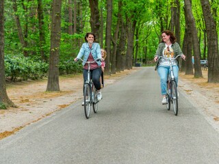Ferienhaus Hoenderloo Außenaufnahme 11