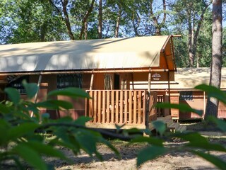 Holiday house Hoenderloo Outdoor Recording 3