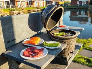 Villa Medemblik Outdoor Recording 15