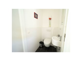 Ferienhaus Uitdam Außenaufnahme 11