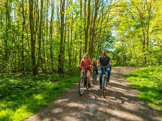 Ferienhaus Halfweg Außenaufnahme 9